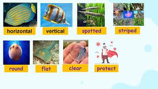GS3 W31 Unit8 3 self Study Video