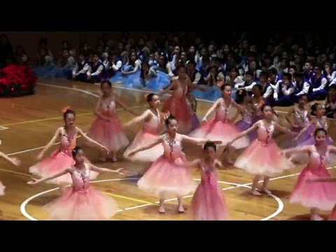 Amigobaby溫度影像工坊 / 2015.12.23 復興小學-104年度教學成果發表會 胡桃鉗話劇 開場 表演