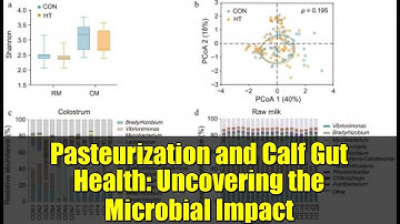 Pasteurization and Calf Gut Health: Uncovering the Microbial Impact