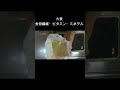 【作り置き】腸活スープ３種/冷凍保存/食物繊維たっぷりの大麦スープ作り #料理 #レシピ #作り置き #冷凍保存 #簡単レシピ #料理動画