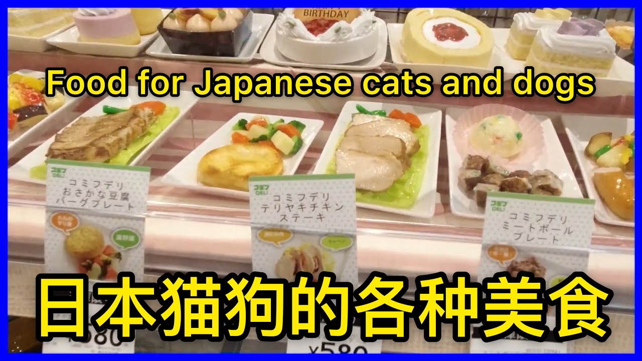 日本猫猫狗狗的美食Japanese cat and dog food YouTube