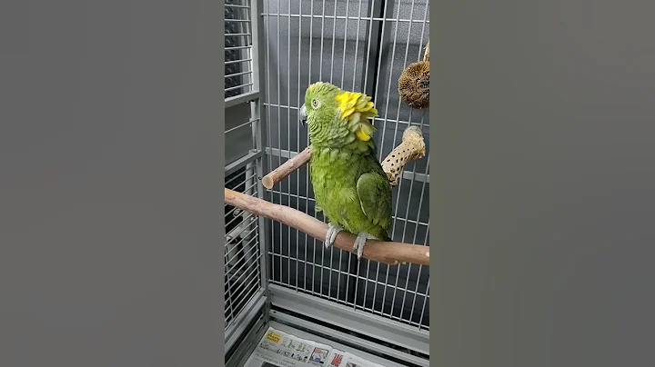 Maria, Maria, Maria!