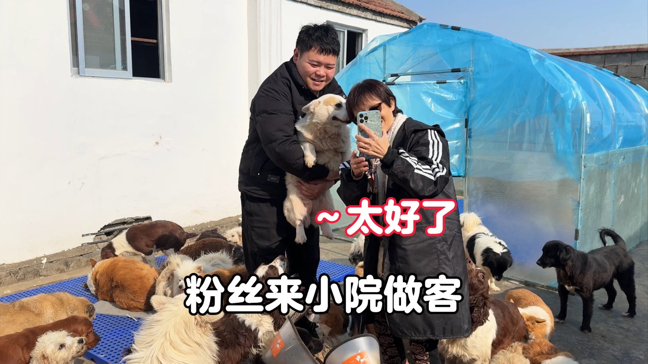 真幸福，粉絲阿姨跨越千裏來小院做客，毛孩子們活蹦亂跳熱烈歡迎