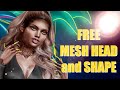 The free genus mesh head and free mesh body  free shape  second life