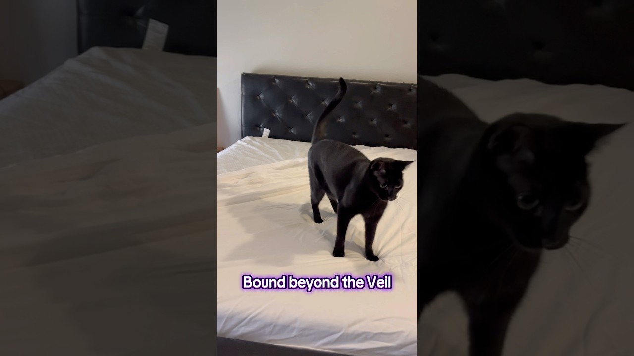 The Reckoning Beneath 