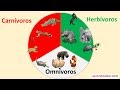 Animales carnivoros herbivoros y omnivoros para niños