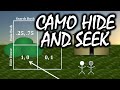 Camouflaged Hide and Seek: A Game Theory Puzzle