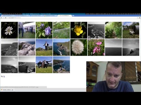 Picasa sucks with no way to download Zip archive