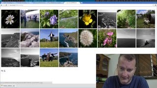 Picasa sucks with no way to download Zip archive screenshot 4