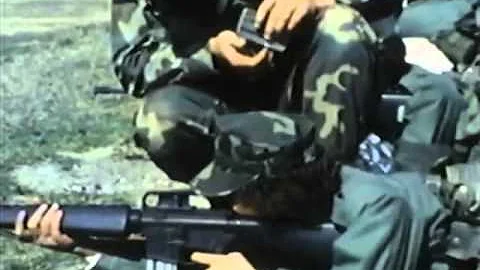 War with Gwynne Dyer, Part 2: Anybody's Son Will D...