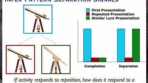 Pattern separation in the hippocampus