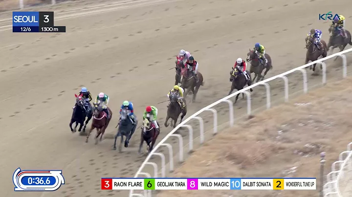 (Seoul) 2025.12.06 R3