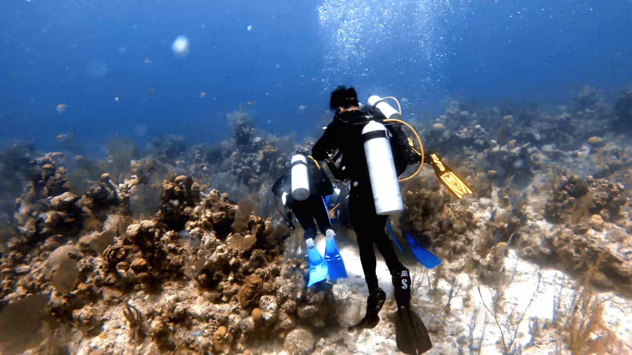 Long Caye Wall (The Aquarium), Belize