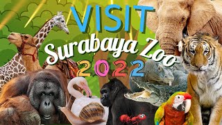 Family Time; Visit The Surabaya Zoo 2022 | Animals Education | Kebun Binatang Surabaya | Indonesia