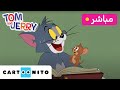 بث مباشر 🔴 | الصيف مع توم وجيري | كارتونيتو