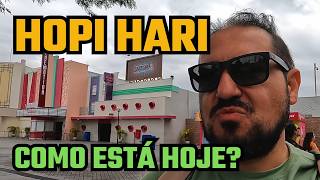 Hopi Hari: como está o parque hoje? Minha visita completa ao país mais divertido do mundo