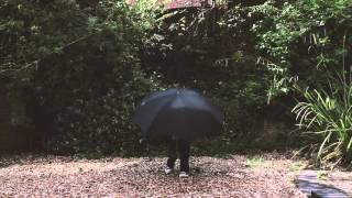 Bolsover Stories Dance Flash Mob Umbrella Dance