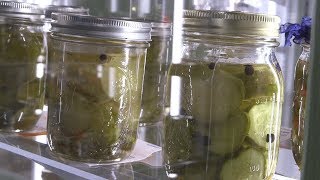 Homegrown | Make Your Own Fresh-Pack Dill Pickles