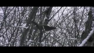 Late Muzzle Loader Deer Hunt