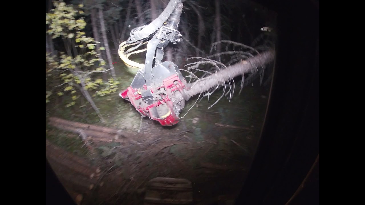 Logging Tigercat 845c Waratah 415x