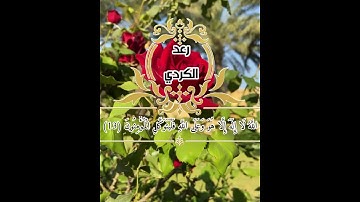 ماتيسر من سورة التغابن | القارئ رعد الكردي