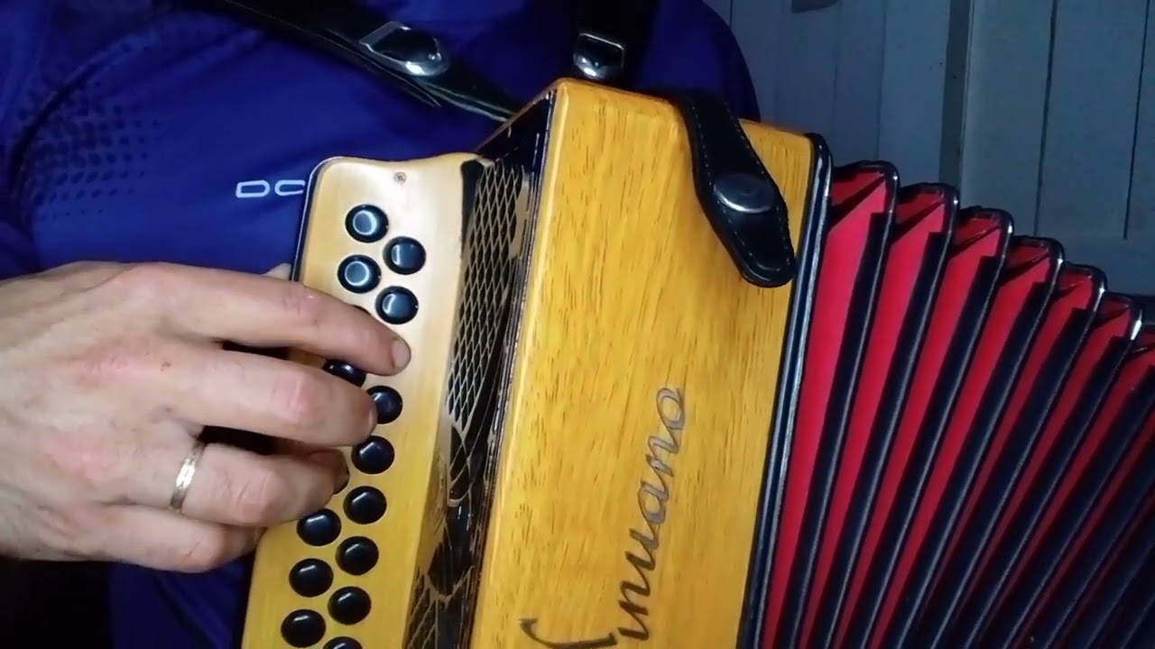 video aula musica Vaneira Grossa #musica #gaita