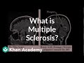 Understanding Multiple Sclerosis