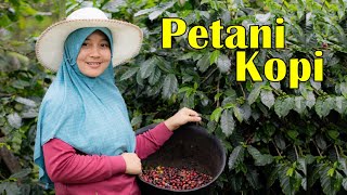 PETANI KOPI - Budi Cilok (Lyric)