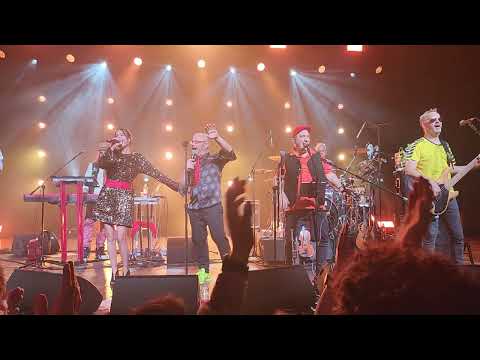 טיפקס פרח השכונות 