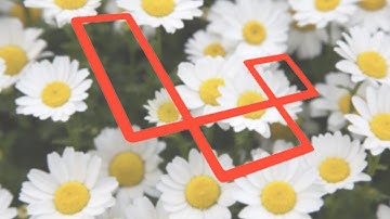 Laravel, Redis, Socket.IO