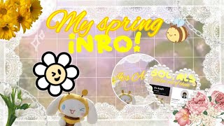 My spring intro ✨️🐝💗