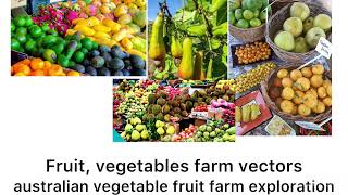 australian vegetable fruit farm exploration screenshot 5