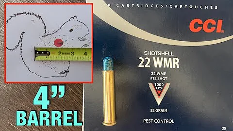 CCI Pest Control 22 Mag 4" Barrel