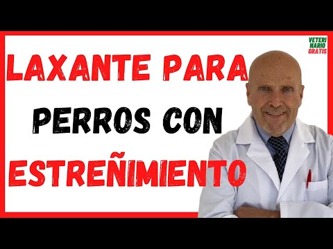 🔴 LAXANTES Naturales para PERROS con ESTREÑIMIENTO Severo 🔴 Mi perro no hace popo (caca) que le doy