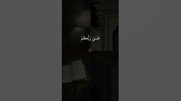 القارئ سلمان العتيبي | مقطع قصير
