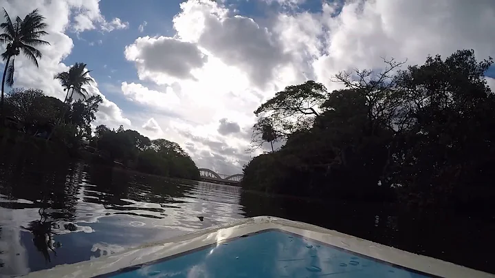 haleiwa river SUP view