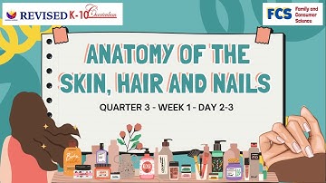 TLE 8   QUARTER 3   WEEK 1   DAY 2 3 PART 2 Anatomy of the Skin, Hair and Nails