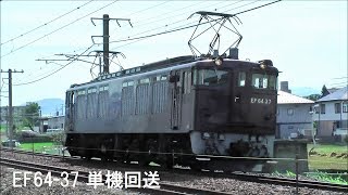 EF64 37 長野へ単機回送