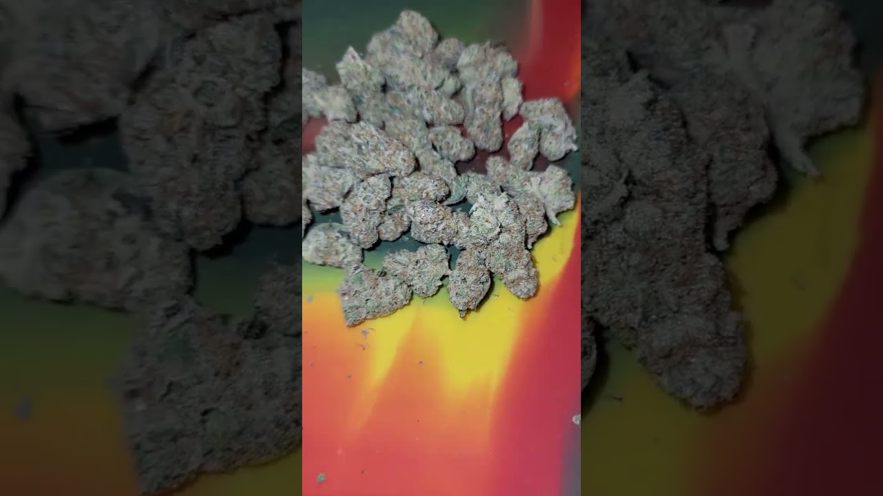 MAC (Miracle Alien Cookies)