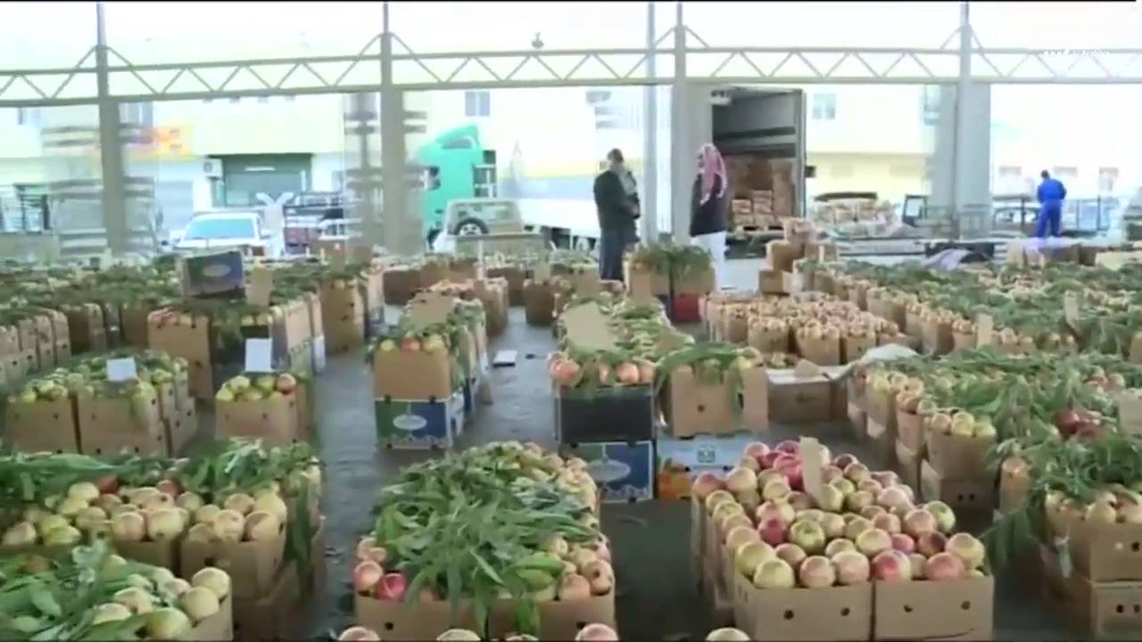 8 مــظـاهـر للفــوضــى والإهـمـال بسوق أسماك الطائف المدينة