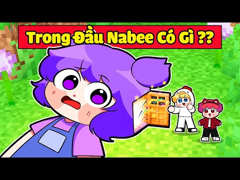 NABEE NGẠI XỈU