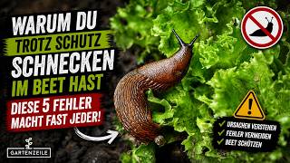 Warum Du Trotz Schutz Schnecken Im Beet Hast - Diese 5 Fehler Macht Fast Jeder