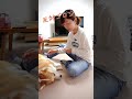 言葉が通じてるコーギーはこうなる#shorts