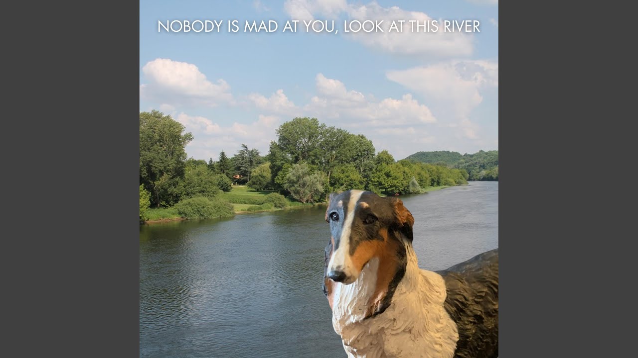 nobody is mad at you, look at this river