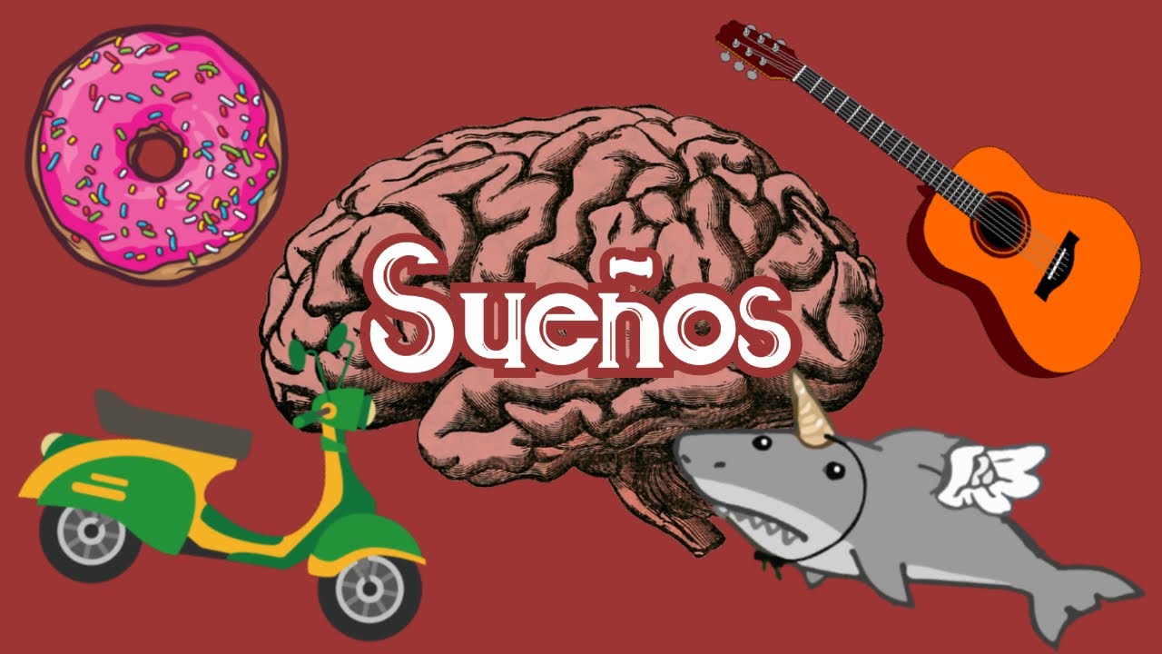 Cómo funciona el cerebro