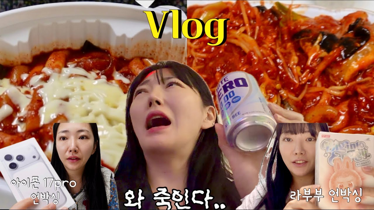 VLOG | 17주 임신하고 첫 노래방🎤+눈물의 남편 출장😢 | 찜집아구찜,저당엽떡,짜장밥,참치김치찌개,붕어빵,서브웨이+반찬데이+아이폰17pro언박싱+라부부언박싱
