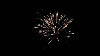 128 tkb332 радужный букет