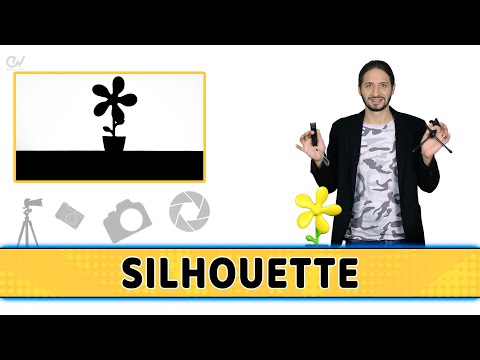 Video: Come Fotografare Una Silhouette