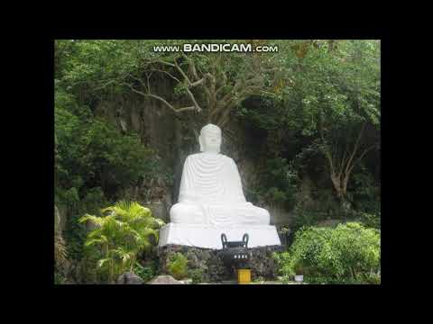 KHOA HỌC LỚP 5 - BÀI 14: ĐÁ VÔI, XI MĂNG - youtube