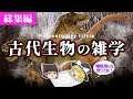 【睡眠用・ゆっくり解説】古代生物の雑学①【広告最初のみ 途中広告なし】